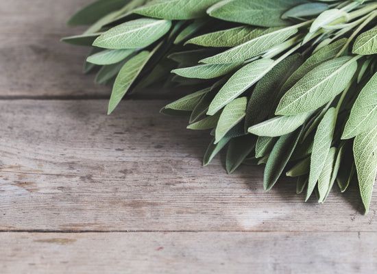 Add scent and fragrance to your garden with some potted winter herbs