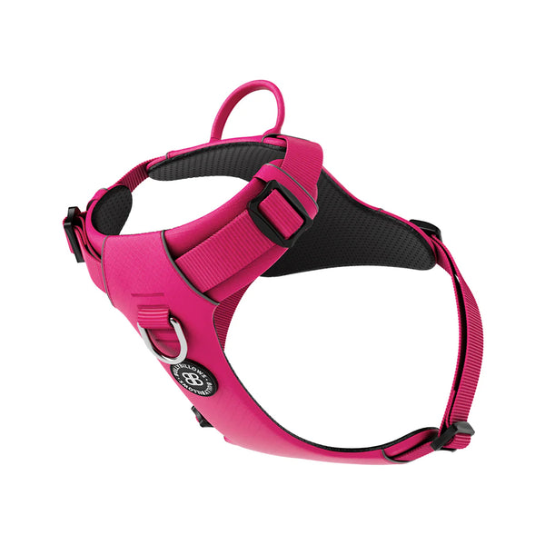 BullyBillows Air Harness - Anti-Pull with Handle - DeWaldens Garden Centre