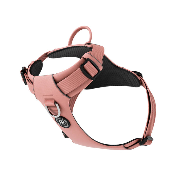 BullyBillows Air Harness - Anti-Pull with Handle - DeWaldens Garden Centre