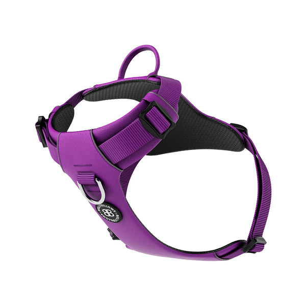 BullyBillows Air Harness - Anti-Pull with Handle - DeWaldens Garden Centre