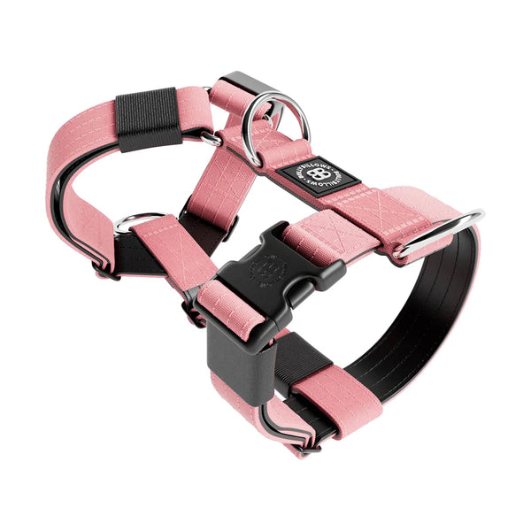 BullyBillows Training Anti-Pull TRI-Harness - DeWaldens Garden Centre