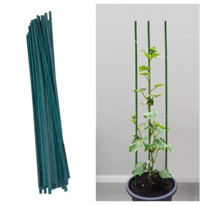 Grow It Bamboo Plant Sticks 40cm (25 Pack) DeWaldens Garden Centre