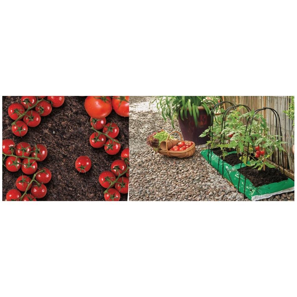 Grow Bag Cane Frame Support DeWaldens Garden Centre