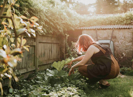 National Allotment Week: 8-14 August 2022