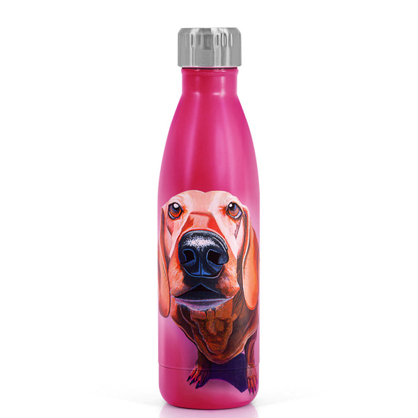 Eoin O’Connor Mutz Metal Water Bottle 500ml - DeWaldens Garden Centre