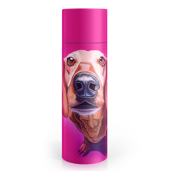Eoin O’Connor Mutz Metal Water Bottle 500ml - DeWaldens Garden Centre