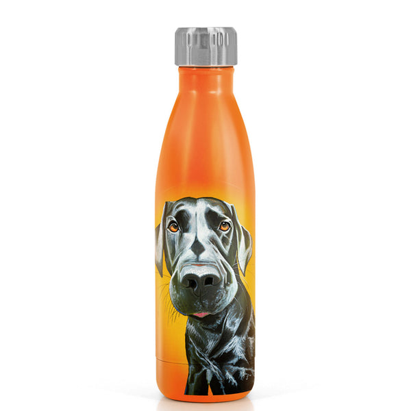 Eoin O’Connor Mutz Metal Water Bottle 500ml - DeWaldens Garden Centre