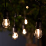 Madison Solar Drop Bulb Lights (Set of 10) - DeWaldens Garden Centre