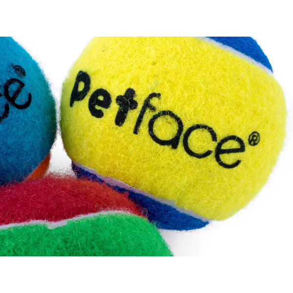 Petface Squeaky Tennis Ball - DeWaldens Garden Centre