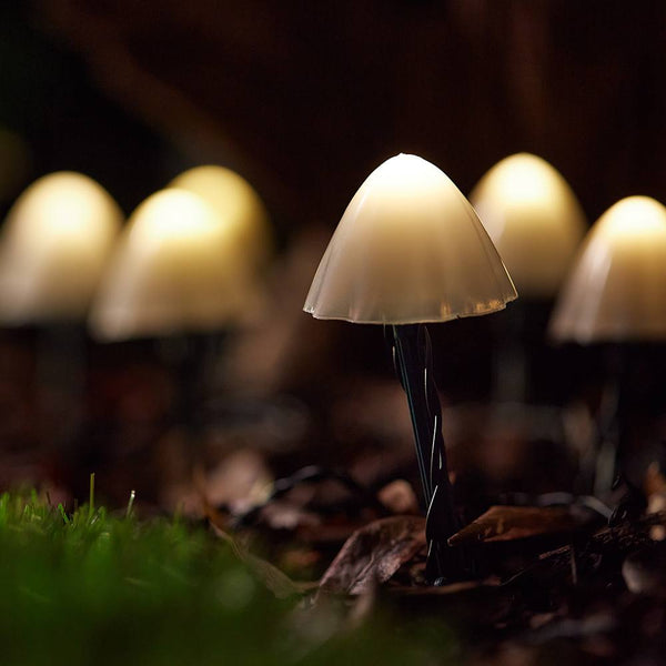 Forest Solar Mushroom Light - Set of 12 - DeWaldens Garden Centre