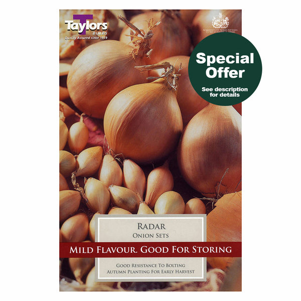 Taylors Bulbs - Radar Onion Set x 50