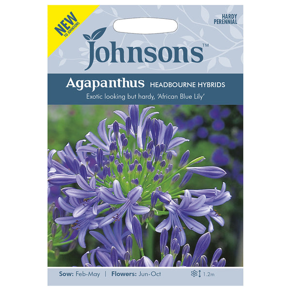 Johnsons Agapanthus Headbourne Hybrids - DeWaldens Garden Centre