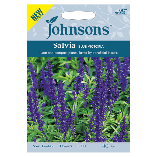 Johnsons Salvia Blue Victoria Seeds - DeWaldens Garden Centre