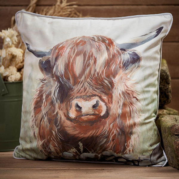 Dougal Highland Cow Velour Cushion Square - DeWaldens Garden Centre
