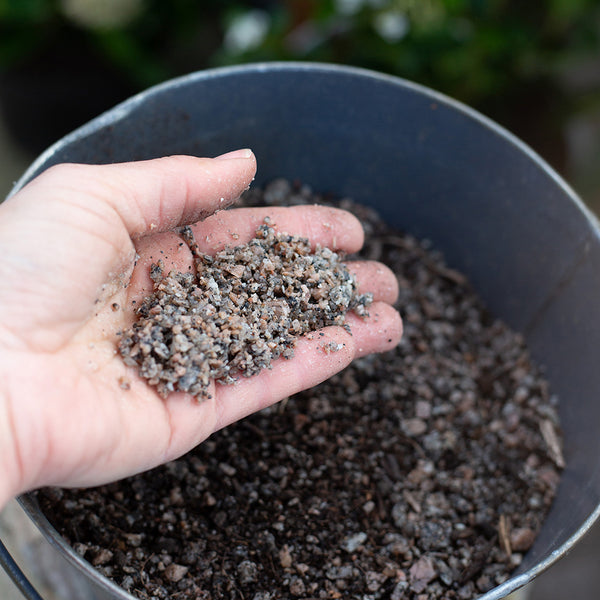 Kelkay Horticultural Potting Grit Handy Pack - DeWaldens Garden Centre