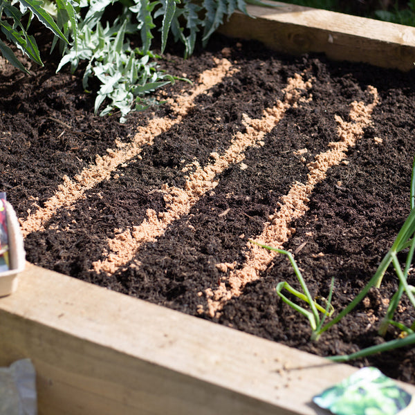 Kelkay Horticultural Silver Sand Handy Pack - DeWaldens Garden Centre