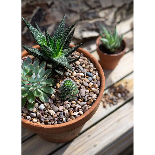 Kelkay Horticultural Washed Gravel Handy Pack - DeWaldens Garden Centre