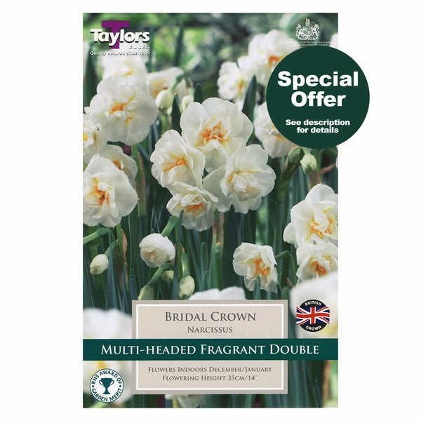 Taylors Bulbs - Narcissus Bridal Crown x 5 Bulbs