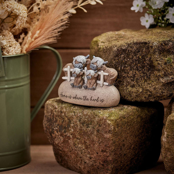 Dougal Highland Cow Family Home Ornament - DeWaldens Garden Centre