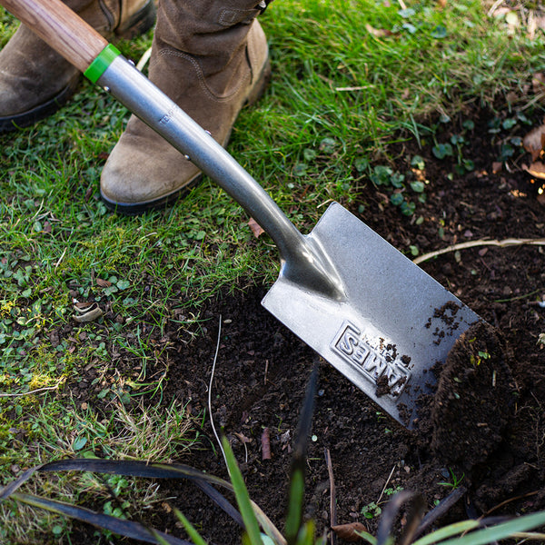 AMES Border Spade - Carbon Steel - DeWaldens Garden Centre
