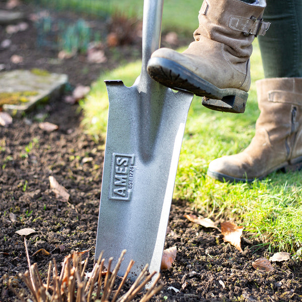 AMES Planting Spade - Carbon Steel - DeWaldens Garden Centre