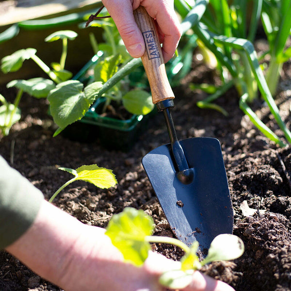 AMES Hand Trowel - Carbon Steel - DeWaldens Garden Centre