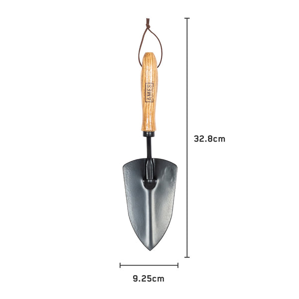 AMES Hand Trowel - Carbon Steel - DeWaldens Garden Centre