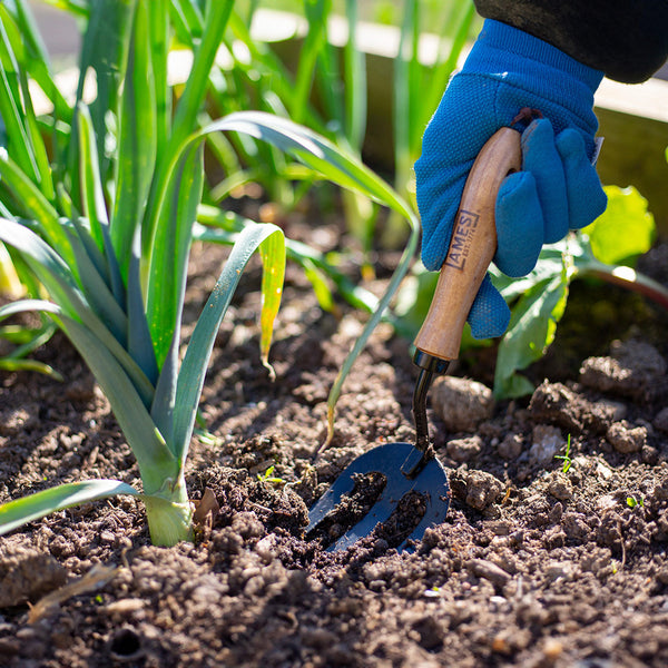 AMES Hand Fork - Carbon Steel - DeWaldens Garden Centre