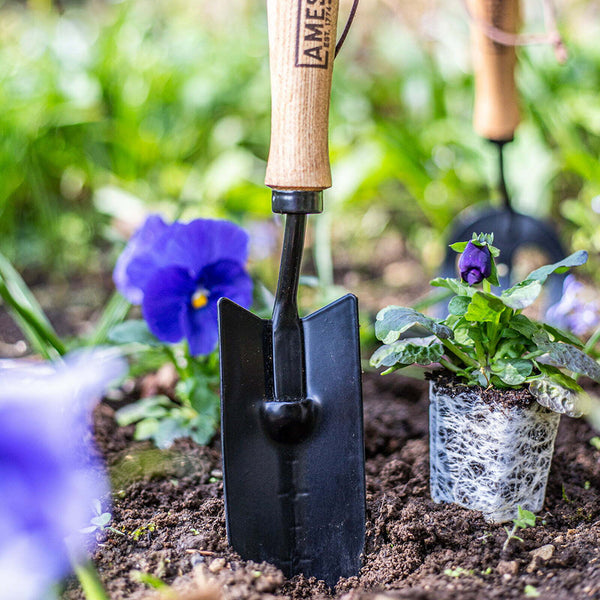 AMES Hand Transplanter - Carbon Steel - DeWaldens Garden Centre