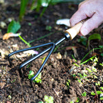 AMES Hand 3 Prong Cultivator - Carbon Steel - DeWaldens Garden Centre