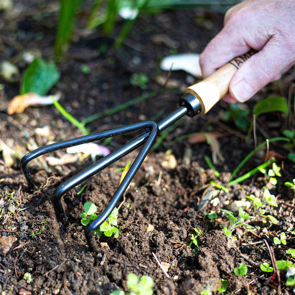 AMES Hand 3 Prong Cultivator - Carbon Steel - DeWaldens Garden Centre