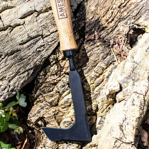 AMES Hand Patio Weeder - Carbon Steel - DeWaldens Garden Centre