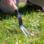 AMES Hand Daisy Grubber - Carbon Steel - DeWaldens Garden Centre