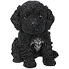 Vivid Arts Puppy Pals Cockapoo - DeWaldens Garden Centre