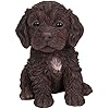 Vivid Arts Puppy Pals Cockapoo - DeWaldens Garden Centre