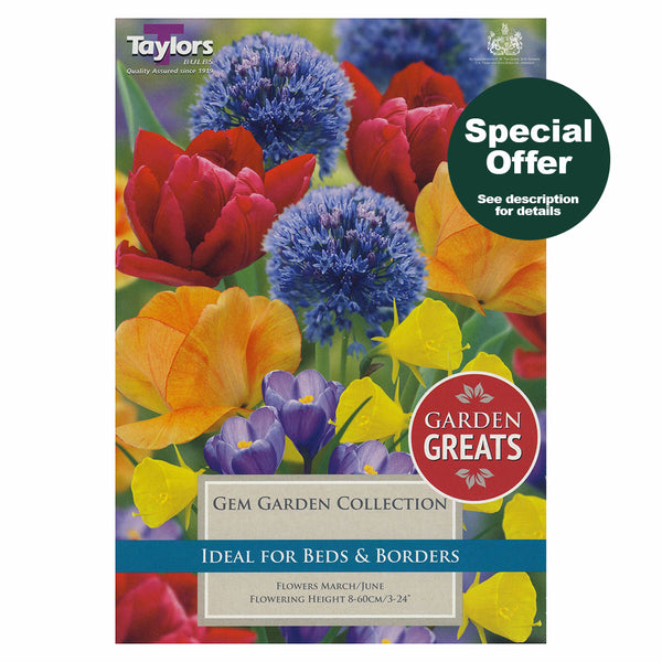 Taylors Bulbs - Gem Garden Collection x 50 Bulbs - DeWaldens Garden Centre