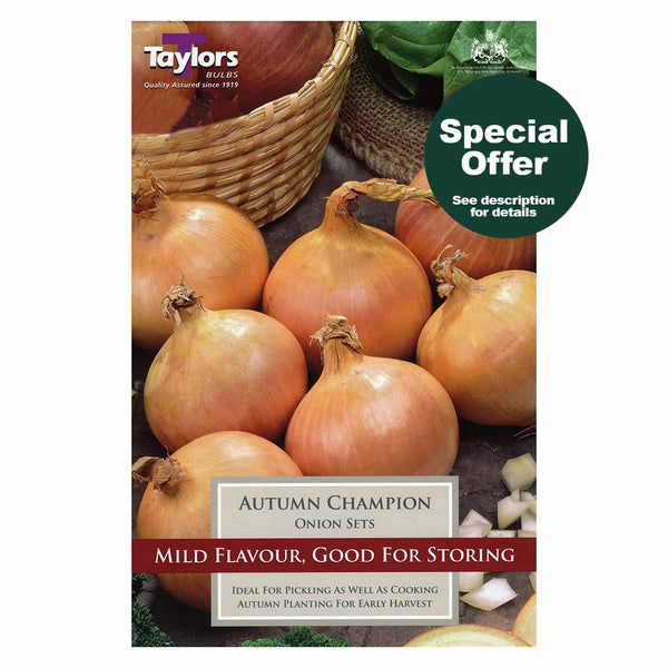 Taylors Bulbs - Autumn Champion Onion Set x 50 - DeWaldens Garden Centre