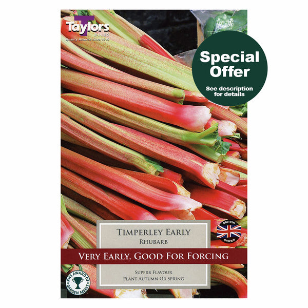 Taylors Bulbs - Timperley Early Rhubarb x 1