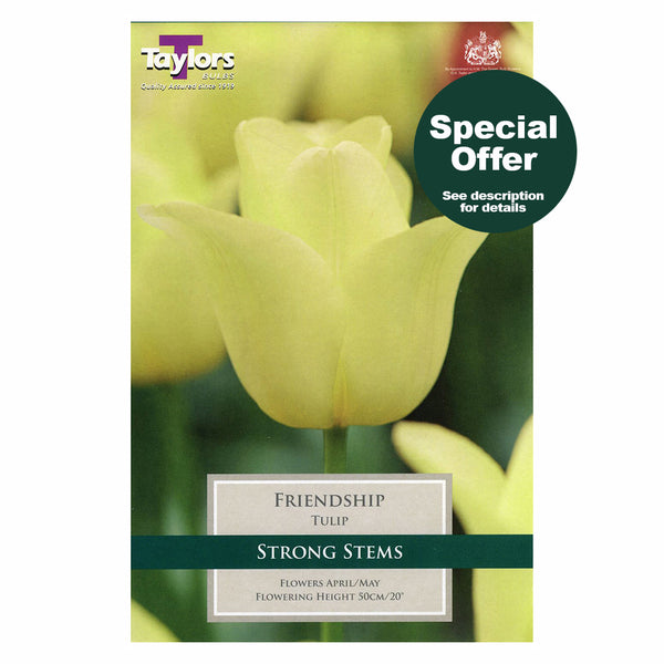 Taylors Bulbs - Tulip Friendship x 9 Bulbs - DeWaldens Garden Centre
