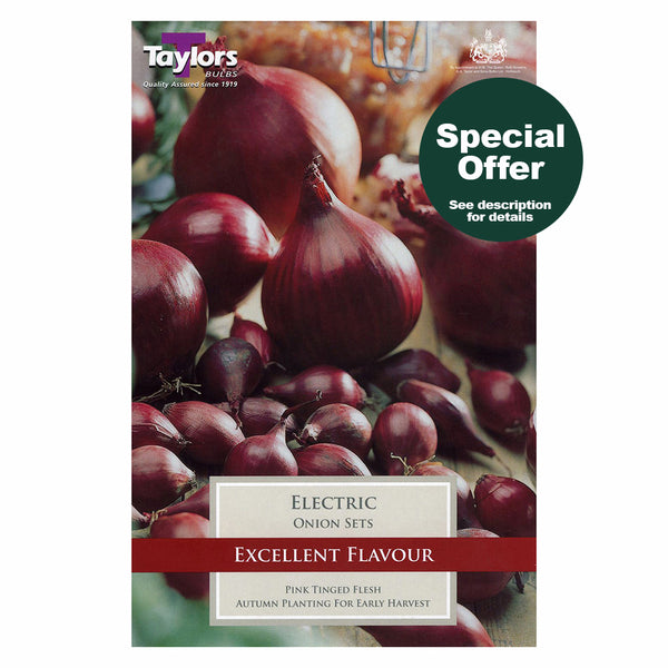 Taylors Bulbs - Electric Onion Set x 50
