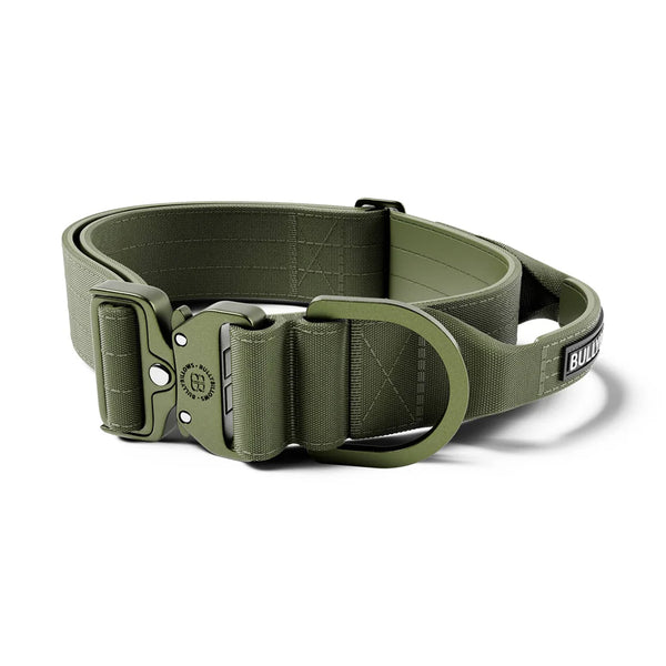 BullyBillows 5cm LIGHTER Combat Collar - With Handle Secure Clip - DeWaldens Garden Centre