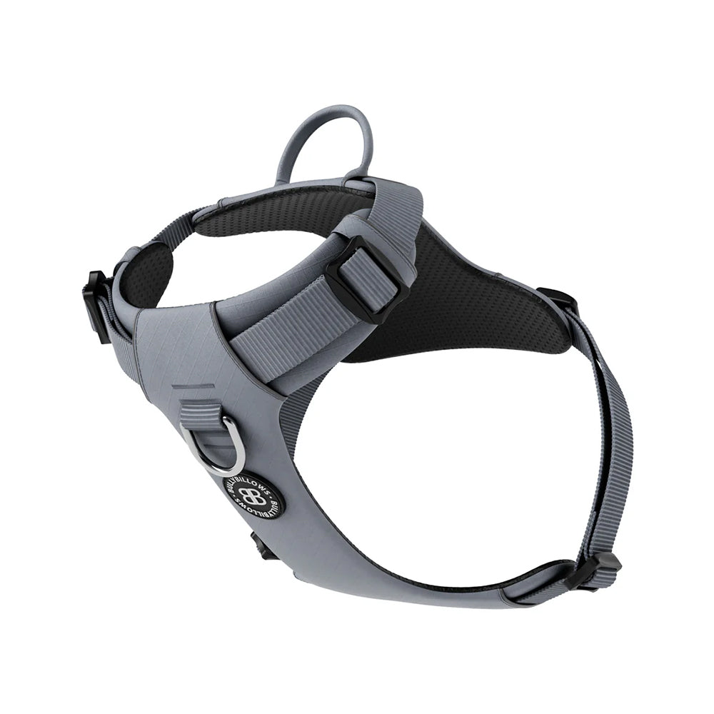 BullyBillows Air Harness Anti-Pull with Handle – DeWaldens