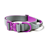 BullyBillows 4cm LIGHTER Combat Collar - With Handle Rated Clip - DeWaldens Garden Centre