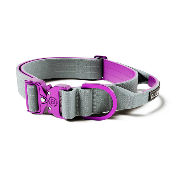 BullyBillows 4cm LIGHTER Combat Collar - With Handle Rated Clip - DeWaldens Garden Centre