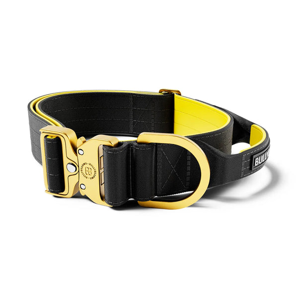 BullyBillows 5cm LIGHTER Combat Collar - With Handle Secure Clip - DeWaldens Garden Centre