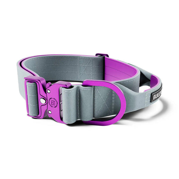 BullyBillows 5cm LIGHTER Combat Collar - With Handle Secure Clip - DeWaldens Garden Centre