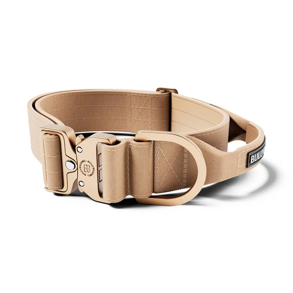 BullyBillows 5cm LIGHTER Combat Collar - With Handle Secure Clip - DeWaldens Garden Centre
