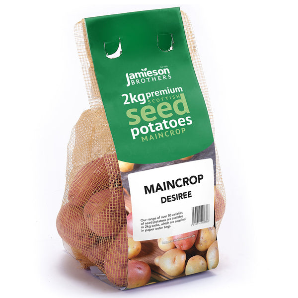 Jamieson Brothers Desiree Seed Potatoes 2kg - DeWaldens Garden Centre