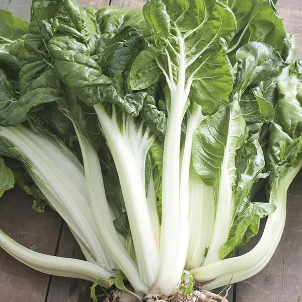 Fothergill's Chard White Silver 2 Seeds - DeWaldens Garden Centre