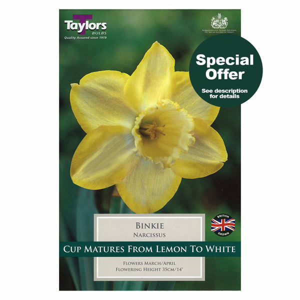 Taylors Bulbs - Narcissus Binkie x 6 Bulbs